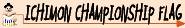 Ichimon Championship Flag Rules